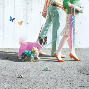 精品国产一区二区三区护卡密
