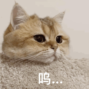 精品国产一区二区三区护卡密
